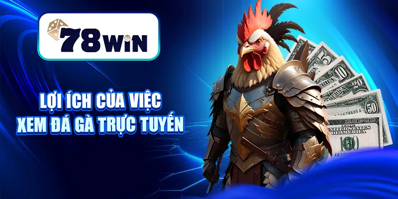 Xem Đá Gà Trực Tuyến Mới Nhất 2025 Tại Nhà Cái 78WIN 7 Lợi ích của việc xem đá gà trực tuyến